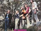 Axiom/Brian Cadd IF ONLY... Australian RARE LP