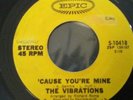 THE VIBRATIONS-'CAUSE YOU'RE MINE-