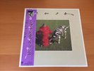 LP RUSH SIGNALS JAPAN OBI