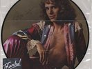 I'm In You Peter Frampton picture disc LP vinyl album record USA promo SP-4704