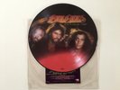 Bee Gees ?- Spirits Having Flown - Vinyl, LP, Picture Disc, Album - USA 1979