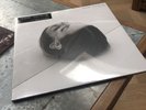 The National : Trouble Will Find Me VINYL (2013) sealed 