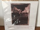 Pixies - Surfer Rosa [180 Gram Vinyl] MFSL LP