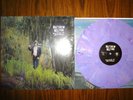 MATTHEW MELTON OUTSIDE OF PARADISE /200 PURPLE VINYL LP warm soda dream machine