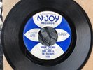 Louisiana  Garage Rocker JOHN FRED “ Boogie Children “  in N-Joy