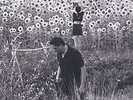 Jesu/Sun Kil Moon [VINYL] Vinyl