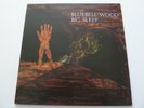 BIG SLEEP - BLUEBELL WOOD LP PEGASUS 4 OR UK PRESS 1971 RARE UK PROG