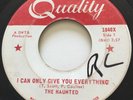 GARAGE PUNK The Haunted I CAN ONLY GIVE YOU EVERYTHING Quality 45 rare Canadian