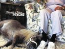 ELEMENT OF CRIME - Psycho     -  VINYL NEU
