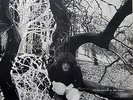 LP The Phantom Payn - Trouble With Ghosts (Revised Version)