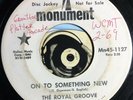Royal Groove 45 Promo Sunshine Pop On To Something New 27 Hours In The Day VG+
