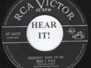 The Du Droppers DOO WOP 45 (RCA 5425) Somebody Work On My Baby's Mind   MINT-