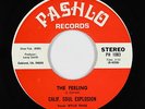 Funk 45 - Calif. Soul Explosion - The Feeling - Pashlo - VG+ mp3