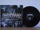 Hatebreed The Rise Of Brutality LP vinyl lamb of god killswitch engage madball