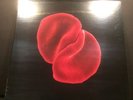 Peter Gabriel Scratch My Back LP Vinyl NEW sealed 2010 Real World