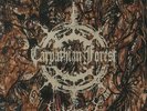 CARPATHIAN FOREST - Likeim - Vinyl (gatefold 7