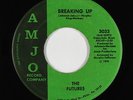Sweet Soul/Funk 45 - Futures - Breaking Up - Amjo - mp3