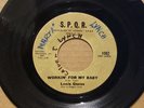 SPQR Lenis Guess 
