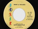Northern Soul 45 - Honey & The Bees - Make Love To Me - Josie - mp3