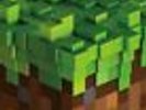 Minecraft Volume Alpha Vinyl SUPER RARE 1/1000