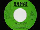 Sweet Soul/Funk Breaks 45 - Forest Terry - Satellite-Love - Lost - VG+ mp3