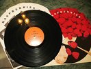 VTG Raspberries 