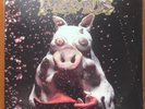 Primus Pork Soda - VG+ First Pressing