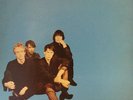 SUNNYBOYS Sunnyboys LP with Inner sleeve 1981 Mushroom RARE