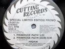 HASHIM rare promo 12