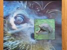 Frankie Goes To Hollywood - Watching The Wildlife - 12ZTAS26