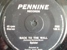 Spider-Back to the wall 7