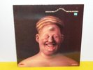 LP - PETER SCHLEICHER - DURCH DIE WAND - PETER SCHLEICHER SINGT ROLLING STONES