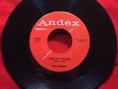 Rockabilly: RAIDERS Hocus Pocus 45 on ANDES mp3 LISTEN  ORIG.