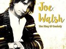 King Of Comedy [VINYL] Joe Walsh Vinyl