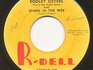 DOOLEY SISTERS on R-Dell —SPIDER IN THE WEB— mod r&b popcorn 45 | ORIG | LISTEN