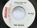 The Panics Come Back To Me Rosina #138 Record Vinyl 45 Texas Garage Band 1965