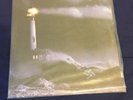 We Must Become the Pitiless Censor of Ourselves - John Maus - Vinyl LP - Great