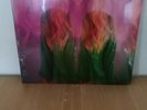 Chromatics - Shadow Vinyl