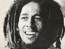 Bob Marley & The Wailers ?– Kaya Vinyl LP Tuff Gong 2013 NEW/SEALED