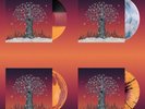 DANCE GAVIN DANCE - ARTIFICIAL SELECTION - TRI-COLOR VINYL LP - 4 PACK