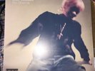 LILY ALLEN NO SHAME NEW VINYL LP ALBUM NEW & SEALED POP MUSIC