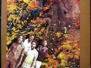 WAILING SOULS 'Wild Suspense' Never played NM 1979 1st pressing Reggae LP