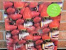 THEE OH SEES - Floating Coffin, BLACK VINYL LP + Download New & Sealed