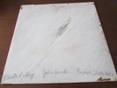 JOHN BENDER PLASTER FALLING  MINIMAL SYNTH LP ORIGINAL 1ST PRESS RS-003