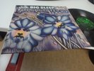 BIG SLEEP BLUEBELL WOOD 1971 MINT TOP RARE PROGRESSIVE