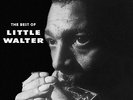 Little Walter - The Best Of Deluxe Gatefold Edition VINYL LP DOL944HG