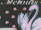 MELVINS - Stoner Witch (reissue) - Vinyl (gatefold 180 gram audiophile vinyl LP)