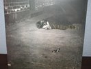 JOHN ZORN NAKED CITY vinyl LP  new and sealed