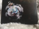 Violent Waves [Indie Only LP] by Circa Survive (Vinyl, Aug-2012, Self Released)