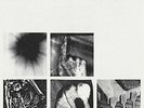 Nine Inch Nails - Bad Witch [New Vinyl LP]